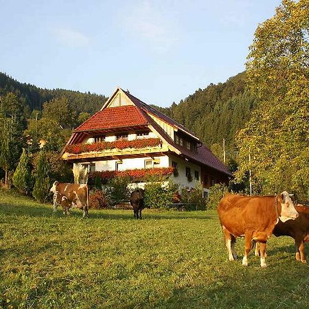 Unterer Gurethshof Zell am Harmersbach Exterior foto