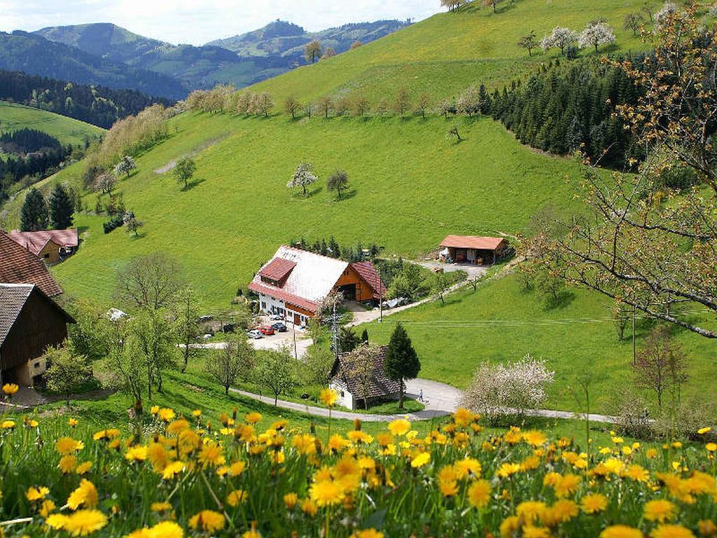 Unterer Gurethshof Zell am Harmersbach Exterior foto