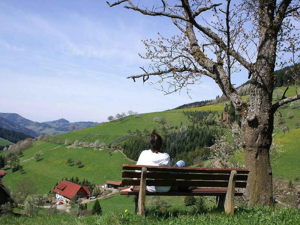 Unterer Gurethshof Zell am Harmersbach Exterior foto