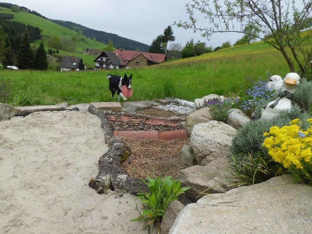 Unterer Gurethshof Zell am Harmersbach Exterior foto