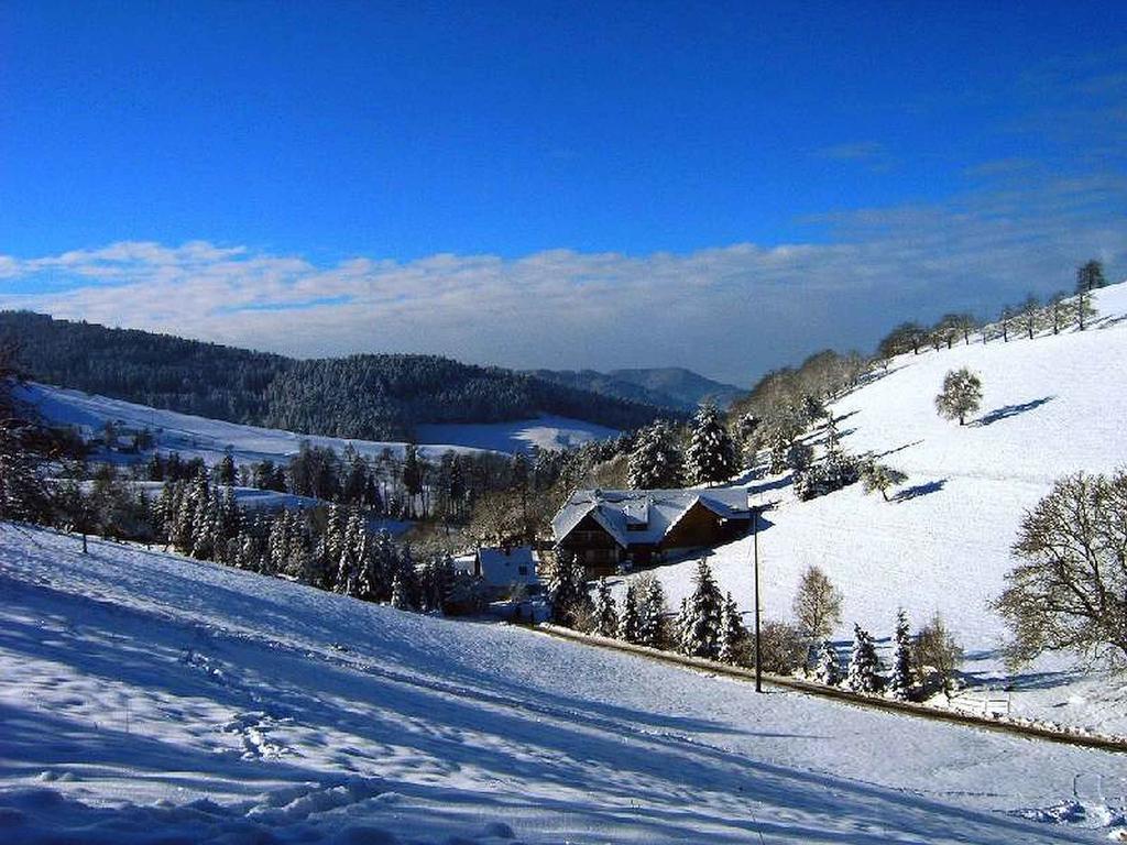 Unterer Gurethshof Zell am Harmersbach Exterior foto