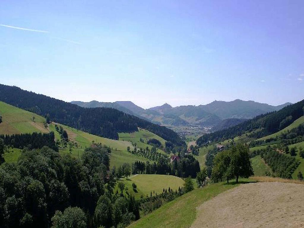 Unterer Gurethshof Zell am Harmersbach Exterior foto