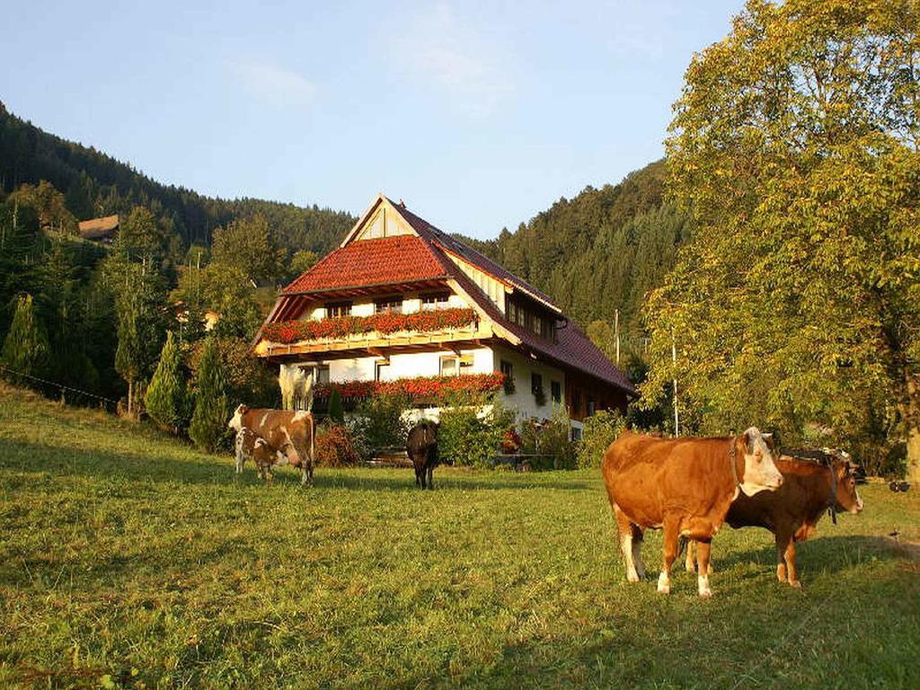 Unterer Gurethshof Zell am Harmersbach Exterior foto