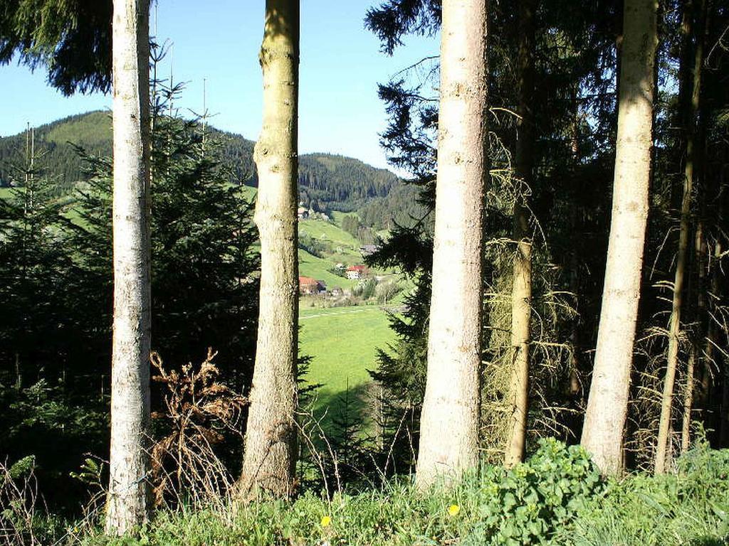 Unterer Gurethshof Zell am Harmersbach Exterior foto